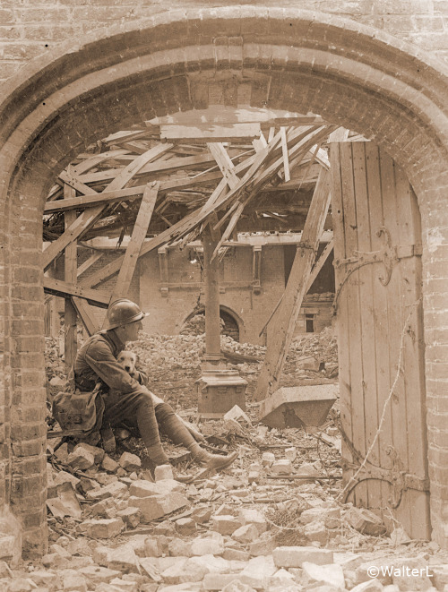 soldat_belge_Walter_Lelievre soldat_belge_Walter_Lelievre