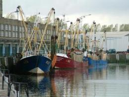 De vissershaven van Nieuwpoort De vissershaven van Nieuwpoort